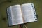 NIV, Life Application Study Bible, Third Edition, Genuine Leather, Cowhide, Black, Art Gilded Edges, Red Letter, Thumb Indexed