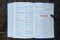 Nirv Kids' Quest Study Bible