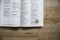 NIV Outreach Large Print Bible for Kids, Paperback