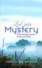 Led into Mystery