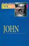 John : Vol 20 : Basic Bible Commentary