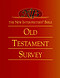 New Interpreter's Bible Old Testament Survey