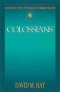 Colossians : Abingdon New Testament Commentary