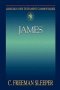 James : Abingdon New Testament Commentary