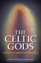 The Celtic Gods: Comets in Irish Mythology