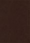 NKJV, Lucado Encouraging Word Bible, Leathersoft, Brown, Thumb Indexed, Comfort Print