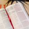 NKJV Holy Bible, Personal Size Giant Print Reference Bible, Black, Hardcover, 43,000 Cross References, Red Letter, Comfort Print: New King James Version