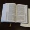 NET Bible, Single-Column Reference, Cloth over Board, Gray, Comfort Print