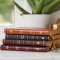 KJV Holy Bible: Large Print Thinline, Tan Leathersoft, Red Letter, Comfort Print: King James Version