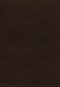 KJV Holy Bible: Large Print Verse-by-Verse with Cross References, Brown Genuine Leather, Comfort Print: King James Version (Maclaren Series)