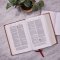 NKJV, Wide-Margin Reference Bible, Sovereign Collection, Leathersoft, Brown, Red Letter, Comfort Print