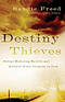 Destiny Thieves