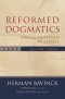 Reformed Dogmatics, vol. 3: Sin and Salvation in Christ