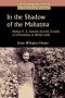 In The Shadow Of The Mahatma