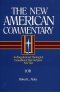 Job : Vol 11 : New American Commentary 