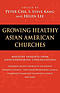 Growing Healthy Asian American Churches : Ministry Insights from Groundbreaking Congregations