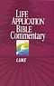 Luke : Life Application Bible Commentary