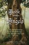 A Book Written For Angels: An interpretation of Swedenborg's "The Worship and Love of God"
