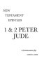 1 & 2 Peter and Jude: A Critical & Exegetical Commentary