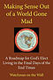 Making Sense Out of a World Gone Mad: A Roadmap for God's Elect Living in the Final Days of the End Times