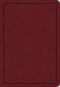 KJV Deluxe Gift Bible, Burgundy LeatherTouch