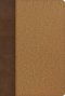 KJV Rainbow Study Bible, Brown/Tan LeatherTouch