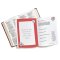 Bible in a Year - Bible Study Book