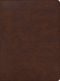 CSB Apologetics Study Bible for Students, Brown LeatherTouch