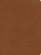 CSB He Reads Truth Bible, Saddle LeatherTouch, Indexed