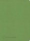 CSB Life Counsel Bible, Apple Green LeatherTouch
