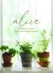 Alive - Bible Study Book