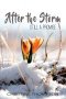 After the Storm: Still a Promise