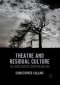 Theatre And Residual Culture