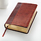 KJV Giant Print Bible, Brown, Imitiation Leather, Red Letter, Reading Plan, Thematic Verse Finder, Gitl Edged, Ribbon Marker, Concordance, Maps, Cross-Reference