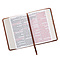 KJV Compact Large Print Imitation Leather Tan Words of Christ in Red