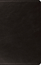 ESV Large Print Thinline Bible (Genuine Leather, Black)