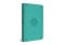 ESV Large Print Value Thinline Bible