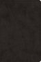 ESV Creeds and Confessions, Bible, Black, Imitation Leather, Introduction to the Creeds, Ribbon Marker,