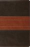 ESV Large Print Personal Size Bible, Red Letter (TruTone, Forest/Tan, Trail Design)