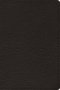 ESV Preaching Bible, Verse-by-Verse Edition (Goatskin, Black)