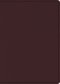 ESV Study Bible, Burgundy, Bonded Leather, Large Print