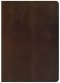 CSB She Reads Truth Bible, Brown Genuine Leather