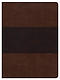CSB Apologetics Study Bible, Mahogany Leathertouch, Indexed