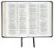 NIV Popular Cross-Reference Bible, Black, Bonded Leather, Anglicised Text, Maps, Reading Plan, Timeline, Book Overviews, Guidance on Topics & Passages