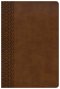 KJV Everyday Study Bible