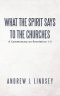 What the Spirit Says to the Churches