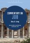 Commentary on Job