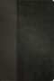 KJV Personal Size Giant Print Bible, Filament Enabled (LeatherLike, Black/Onyx, Red Letter)