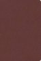KJV Personal Size Giant Print Bible, Filament Enabled (Genuine Leather, Burgundy, Red Letter)