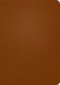NLT Life Application Study Bible, Third Edition (Genuine Leather, Brown, Red Letter)
